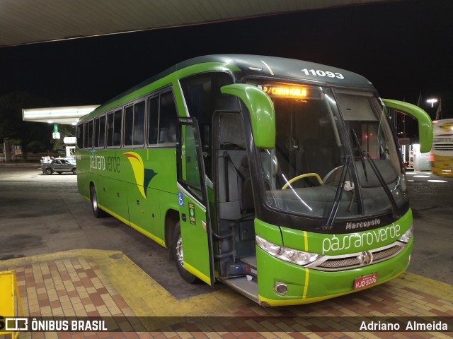 Pássaro Verde 11093 na cidade de João Monlevade, Minas Gerais, Brasil, por Adriano  Almeida. ID da foto: 8672745.