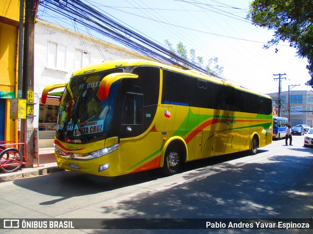 Buses Nilahue BHSG50 na cidade de Santa Cruz, Colchagua, Libertador General Bernardo O'Higgins, Chile, por Pablo Andres Yavar Espinoza. Número da foto: #8672215.