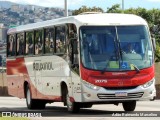 Rouxinol 2075 na cidade de Belo Horizonte, Minas Gerais, Brasil, por Adão Raimundo Marcelino. Número da foto: #8672998.