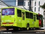Transporte Coletivo Cidade Verde 02190 na cidade de Teresina, Piauí, Brasil, por Glauber Medeiros. Número da foto: #:id.