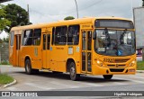 Empresa de Ônibus Campo Largo 22020 na cidade de Campo Largo, Paraná, Brasil, por Hipólito Rodrigues. ID da foto: :id.