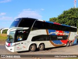 Arte Transportes e Turismo 17000 na cidade de Belo Horizonte, Minas Gerais, Brasil, por Adão Raimundo Marcelino. Número da foto: #8682236.