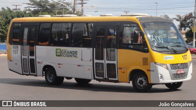 Grande Ocidental RESERVA 107 na cidade de Novo Gama, Goiás, Brasil, por João Gonçalves. Número da foto: #8687128.