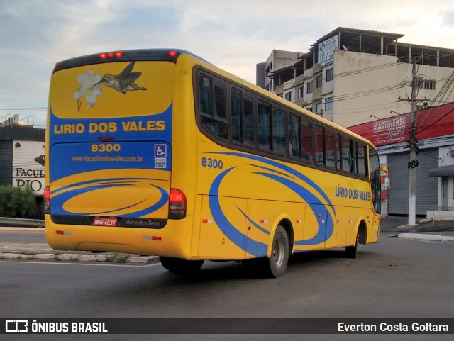 Viação Lírio dos Vales 8300 na cidade de Cariacica, Espírito Santo, Brasil, por Everton Costa Goltara. Número da foto: #8686483.