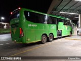 Pássaro Verde 19153 na cidade de Ribeirão Preto, São Paulo, Brasil, por Klaywe Silva. Número da foto: #8684972.
