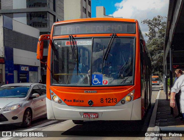 TRANSPPASS - Transporte de Passageiros 8 1213 na cidade de São Paulo, São Paulo, Brasil, por Guilherme  Palma. ID da foto: 8691711.