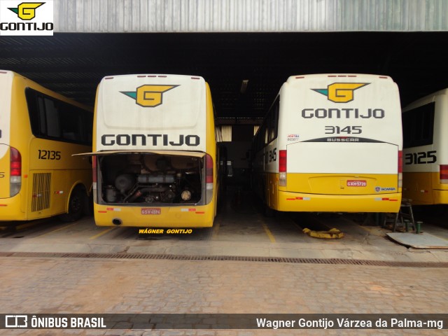 Empresa Gontijo de Transportes 12650 na cidade de Pirapora, Minas Gerais, Brasil, por Wagner Gontijo Várzea da Palma-mg. ID da foto: 8691119.