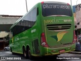 Pássaro Verde 19151 na cidade de Belo Horizonte, Minas Gerais, Brasil, por Kaique Marquês Medeiros . Número da foto: #8620239.