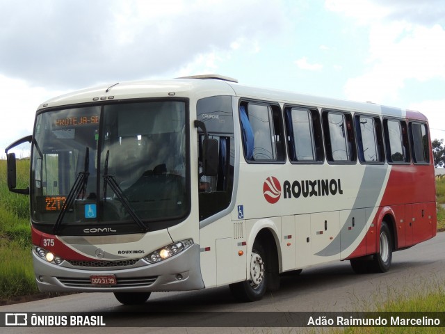 Rouxinol 375 na cidade de Belo Horizonte, Minas Gerais, Brasil, por Adão Raimundo Marcelino. ID da foto: 8624640.