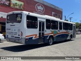 Auto Viação Salineira RJ 111.069 na cidade de Arraial do Cabo, Rio de Janeiro, Brasil, por Teotonio Mariano. Número da foto: #8627922.
