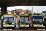 Empresa Gontijo de Transportes 12520 na cidade de Belo Horizonte, Minas Gerais, Brasil, por Rodrigo Matheus. Número da foto: #8628061.