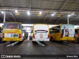 Coletivo Transportes 3698 na cidade de Caruaru, Pernambuco, Brasil, por Marcos Silva. Número da foto: #8632917.