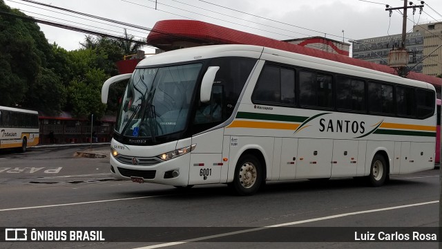 Viação Santos 6001 na cidade de Juiz de Fora, Minas Gerais, Brasil, por Luiz Carlos Rosa. ID da foto: 8639125.