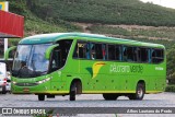 Pássaro Verde 11084 na cidade de Manhuaçu, Minas Gerais, Brasil, por Athos Lauriano do Prado. Número da foto: #:id.