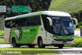 Pássaro Verde 11092 na cidade de Manhuaçu, Minas Gerais, Brasil, por Athos Lauriano do Prado. Número da foto: #:id.