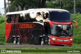 Catedral Turismo 20336 na cidade de Campinas, São Paulo, Brasil, por Lucas Oliveira. Número da foto: #8695703.