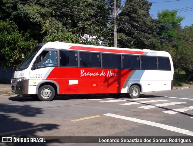 Branca de Neve Turismo 220 na cidade de Campinas, São Paulo, Brasil, por Leonardo Sebastiao dos Santos Rodrigues. Número da foto: #8722537.