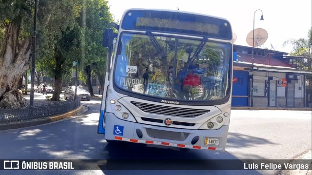 Buses Guadalupe 92 na cidade de San José, San José, Costa Rica, por Luis Felipe Vargas. Número da foto: #8725164.