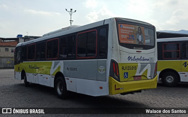 Viação Nilopolitana RJ 123.013 na cidade de Nilópolis, Rio de Janeiro, Brasil, por Walace dos Santos. ID da foto: 8732837.