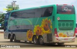 Falone Turismo 005 na cidade de Goiânia, Goiás, Brasil, por Carlos Júnior. Número da foto: #8731941.