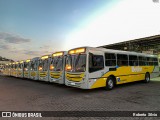 Viação Santa Edwiges  na cidade de Betim, Minas Gerais, Brasil, por Roberto Silvio. Número da foto: #:id.