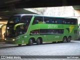Pássaro Verde 12127 na cidade de Belo Horizonte, Minas Gerais, Brasil, por Igor Policarpo. Número da foto: #8734777.