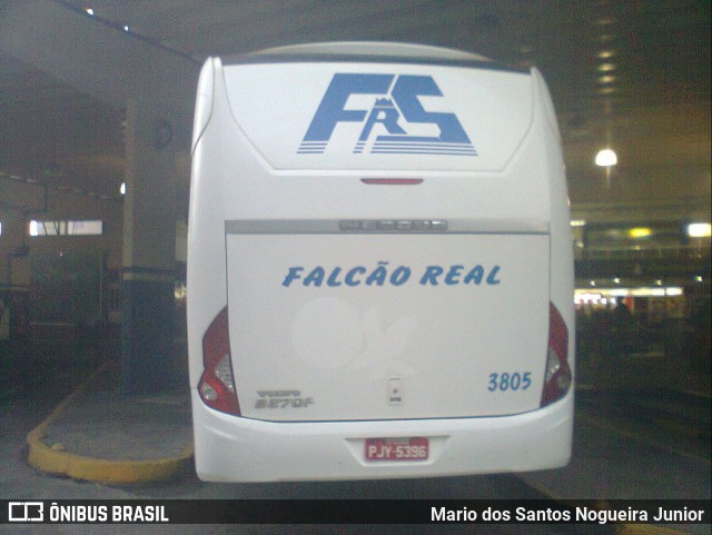 Falcão Real 3805 na cidade de Salvador, Bahia, Brasil, por Mario dos Santos Nogueira Junior. Número da foto: #8736908.