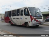 Rouxinol 1606 na cidade de Belo Horizonte, Minas Gerais, Brasil, por Weslley Silva. Número da foto: #:id.