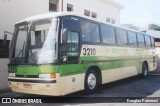Pássaro Verde 3210 na cidade de Belo Horizonte, Minas Gerais, Brasil, por Douglas Paternezi. Número da foto: #8740002.