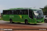 Pássaro Verde 20177 na cidade de Santa Bárbara, Minas Gerais, Brasil, por Lucas Oliveira. Número da foto: #:id.