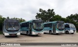 Viação Nossa Senhora Conquistadora 524 na cidade de Pelotas, Rio Grande do Sul, Brasil, por Luis Alfredo Knuth. Número da foto: #:id.