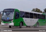 VB Transportes e Turismo 3146 na cidade de Campinas, São Paulo, Brasil, por Thiago Santos. Número da foto: #8744744.