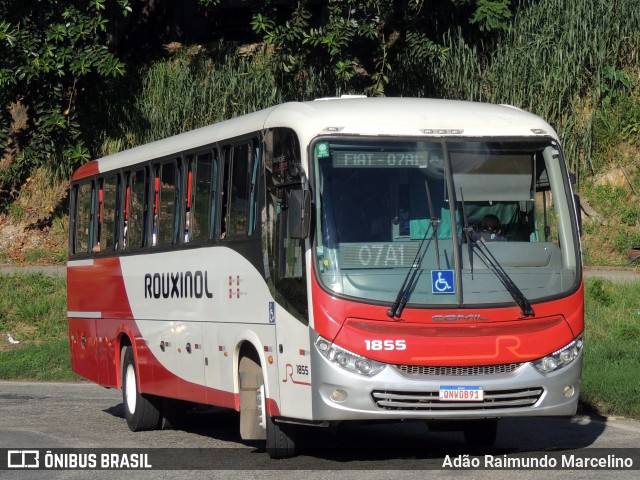 Rouxinol 1855 na cidade de Belo Horizonte, Minas Gerais, Brasil, por Adão Raimundo Marcelino. Número da foto: #8699598.