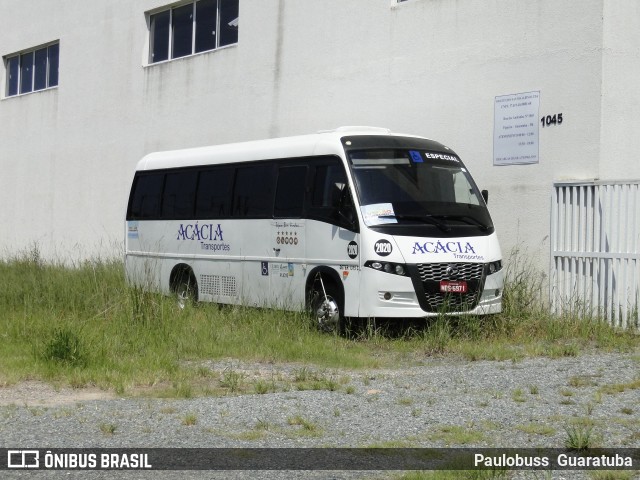 Acácia Turismo 2020 na cidade de Guaratuba, Paraná, Brasil, por Paulobuss  Guaratuba. Número da foto: #8750261.