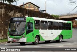 VB Transportes e Turismo 3196 na cidade de Campinas, São Paulo, Brasil, por Pablo Souza. Número da foto: #8751169.