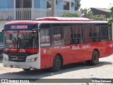 Transportes Mariscal Lopez 81 na cidade de Asunción, Paraguai, por Willian Lezcano. Número da foto: #8751594.