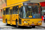 Auto Viação São José dos Pinhais EC301 na cidade de Curitiba, Paraná, Brasil, por Alessandro Fracaro Chibior. Número da foto: #:id.