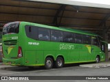 Pássaro Verde 19152 na cidade de Coimbra, Minas Gerais, Brasil, por Christian  Fortunato. Número da foto: #:id.