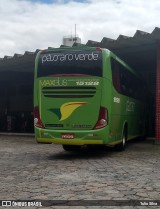 Pássaro Verde 15128 na cidade de Viçosa, Minas Gerais, Brasil, por Tulio Silva. Número da foto: #:id.
