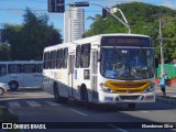 Via Sul TransFlor 5090 na cidade de Natal, Rio Grande do Norte, Brasil, por Elianderson Silva. Número da foto: #8759879.