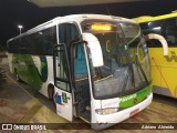 Pássaro Verde 29020 na cidade de João Monlevade, Minas Gerais, Brasil, por Adriano  Almeida. Número da foto: #8764951.