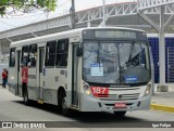 Borborema Imperial Transportes 187 na cidade de Recife, Pernambuco, Brasil, por Igor Felipe. Número da foto: #:id.