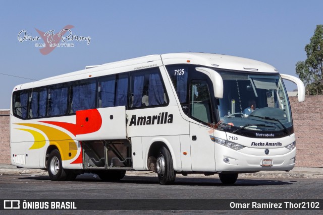 Flecha Amarilla 7125 na cidade de Morelia, Michoacán, México, por Omar Ramírez Thor2102. Número da foto: #8772080.