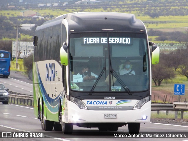 Tacoha 166 na cidade de Tiltil, Chacabuco, Metropolitana de Santiago, Chile, por Marco Antonio Martinez Cifuentes. ID da foto: 8778155.