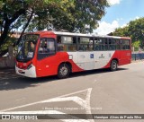 Cooperativa Altercamp 279 na cidade de Campinas, São Paulo, Brasil, por Henrique Alves de Paula Silva. Número da foto: #8703730.