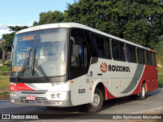 Rouxinol 925 na cidade de Belo Horizonte, Minas Gerais, Brasil, por Adão Raimundo Marcelino. Número da foto: #8707698.