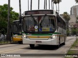 VAP - Viação Alto Petrópolis 4442 na cidade de Porto Alegre, Rio Grande do Sul, Brasil, por Gabriel Cafruni. Número da foto: #:id.
