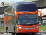 Catedral Turismo 20336 na cidade de Campinas, São Paulo, Brasil, por Felipe Rhis Elias. Número da foto: #8712662.