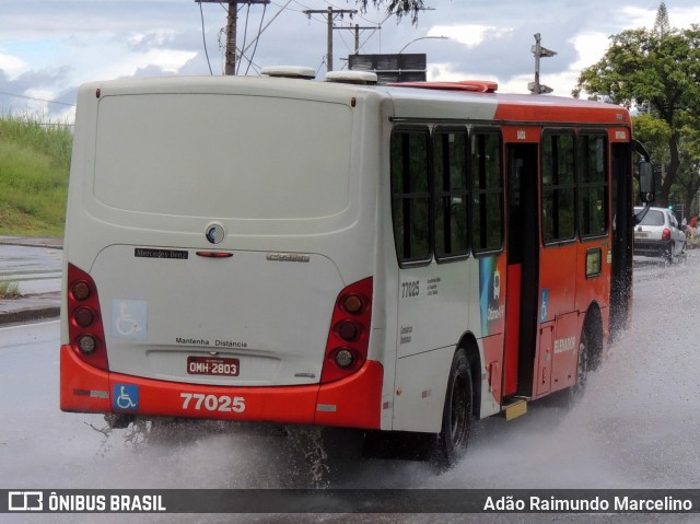 Eldorado Transportes 77025 na cidade de Belo Horizonte, Minas Gerais, Brasil, por Adão Raimundo Marcelino. Número da foto: #8717204.