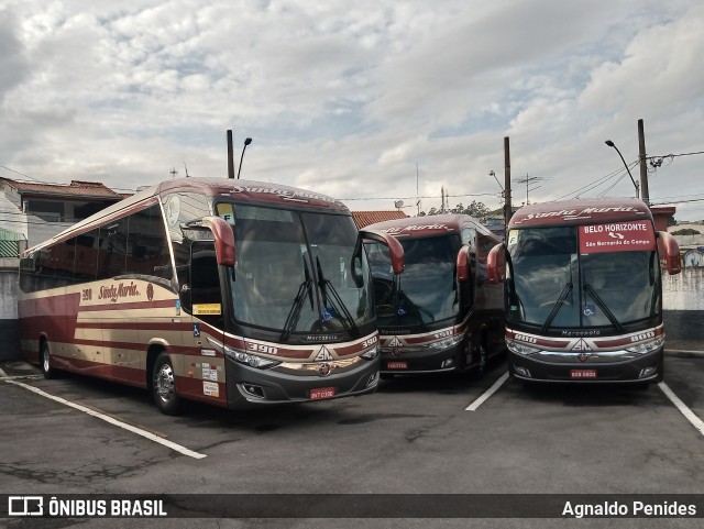 Santa Maria Fretamento e Turismo > Transportes Santa Maria(SP) 390 na cidade de São Bernardo do Campo, São Paulo, Brasil, por Agnaldo Penides. Número da foto: #8715418.